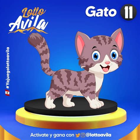 lottoavila|@LottoAvila .